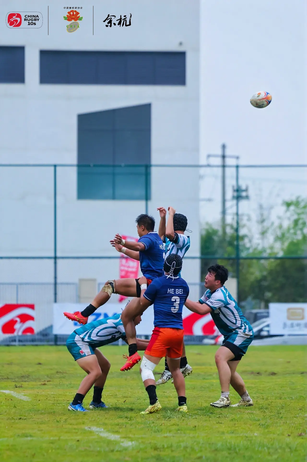 个板块, 成人社群目, cn