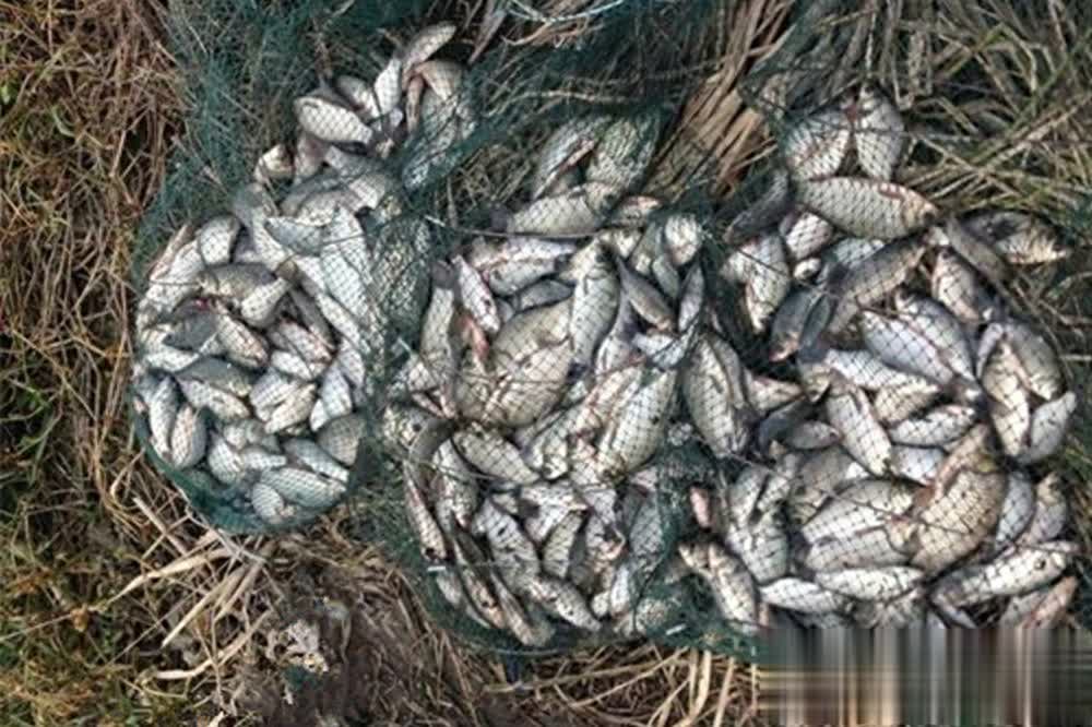 反而导致不, amp, img