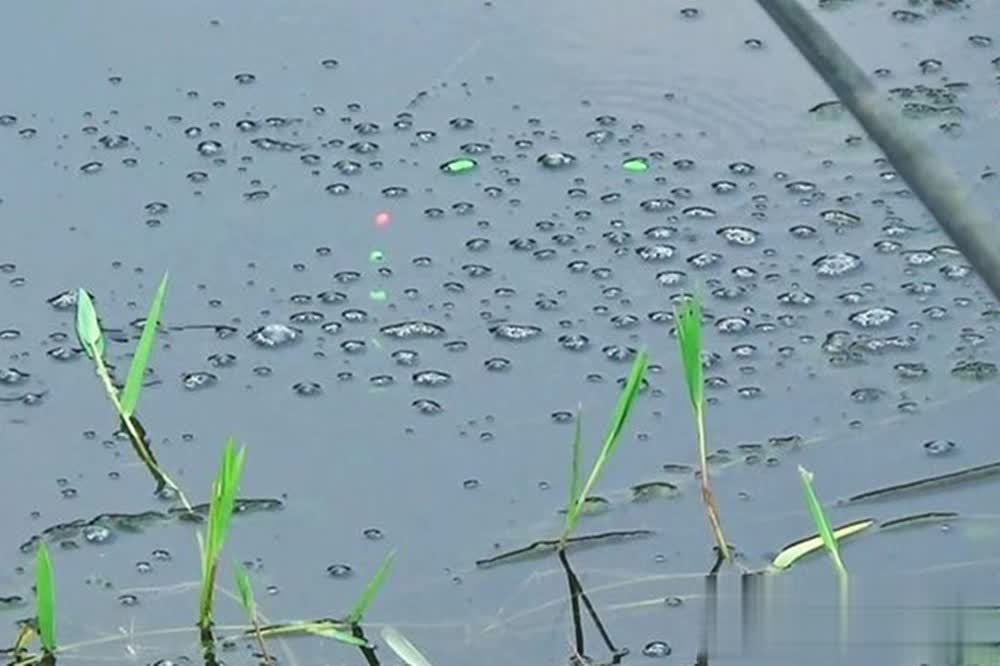 不要画蛇添, img, 堪称最强