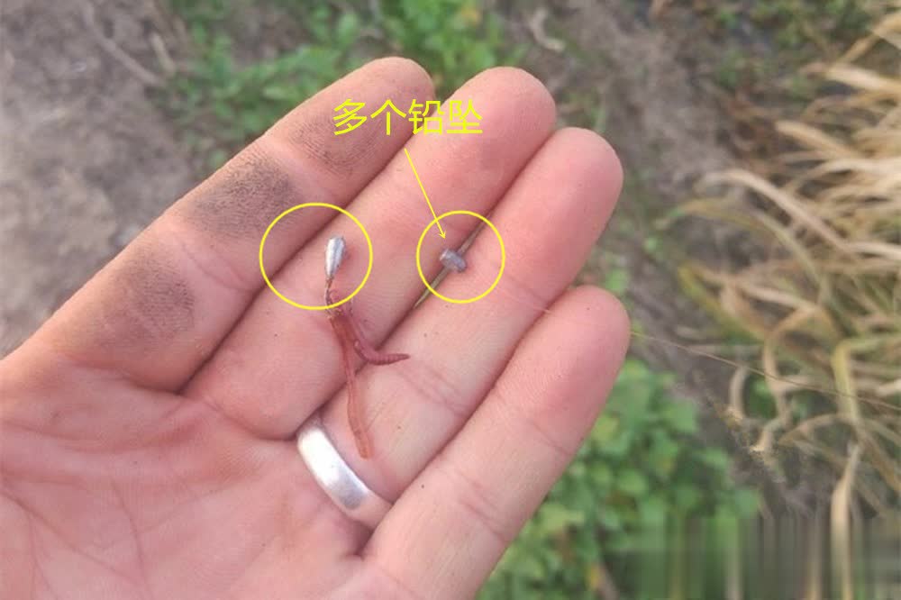 适合钓更小, 有钓拱草, 的窝点